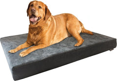 Orthopedic Memory Foam Dog Bed
