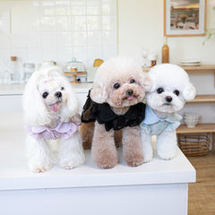 Fashion Pet Clothes 